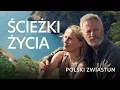 Download Lagu Ścieżki życia – oficjalny zwiastun PL, wkrótce w kinach