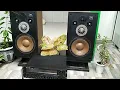 Download Lagu Technics SB-501 with SAE-14 Song GNR welcome to the jungle#vintage#audio#speaker#technics#amplifier