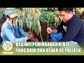Lagu CARA PEMINDAHAN BIBIT | Beginilah Cara Memindahkan Bibit Durian Dongkel ke Polibek