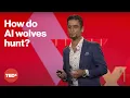 How AI can learn from animal behavior Seyedali Mirjalili TEDxSydney