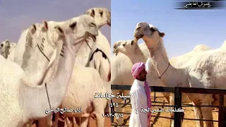 شيلة خزامات كلمات شقير الجذع اداء صالح اليامي 