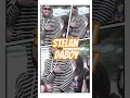Download Lagu STELAN DABOY – Tampias Fams | Lagu Papua Viral di TikTok