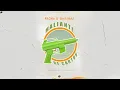Pacho Ft Guaynaa - Maliante De Carton