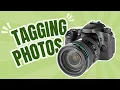 You Won t Believe How Easy Treering Makes Yearbook Photo Tagging
