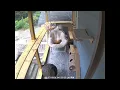 The Catio Cam - Syman Says Farms