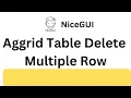 NiceGUI Tutorial - Aggrid Table Delete Multiple