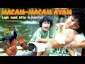 Download Lagu Lagu Macam Ayam Populer | Lagu Macam - Macam Ayam | Lagu Anak Hits Dan Populer Sepanjang Masa