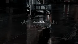 كل اللي معاك في الصورة غاب حمزة نمرة محمد شافعي 