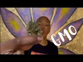 GMO - STRAIN REVIEW
