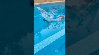 عبده بيحصله ايه 