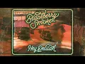 Blackberry Smoke - Hey Delilah (Official Music Video)