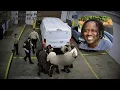 Newly-released shows what happened to Irvo Otieno inside Henrico Jail