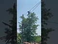 Download Lagu Denver Zoo monkey climbing over you