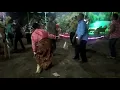 Download Lagu JOGET LAGU DAERAH MAUMERE NTT/WINENG/Voc GUSTY SENDA