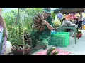 A Sudden Storm Hits the Sick Veteran’s Home – Tiểu Như’s Mother Rushes to His Rescue Just in Time