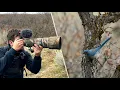 Trying to Get The Best Photo of a Jay Winter Bird Photography
