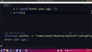 Can t take input from code runner vs code