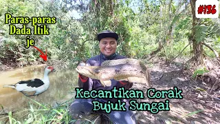 Download Meranduk Mencari Strike Kerandang Serta Bujuk Sungai || Corak Badan Ikan Yang Cantik MP3