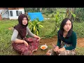 Download Lagu WOOW ..BIKIN TERPESONA‼️MELIHAT KECANTIKAN PERAWAN DESA HIDUP SEDERHANA DI PELOSOK KAMPUNG