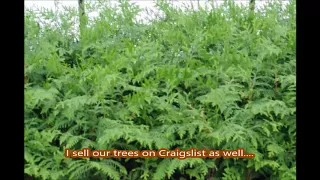 How We Use Craigslist at a Bucks County Tree Farm