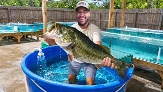 Rescuing RECORD Bass in Homemade Fish HOSPITAL!! (he's a monster)