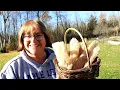 Can you grow Luffas in Zone 5B