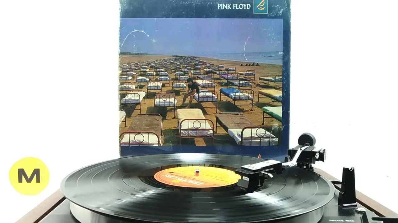 CLASSIC ROCK :: P.I.N.K.  F.L.O.Y.D.  (Vinil 1987)
