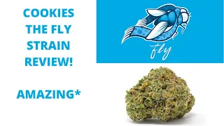 COOKIES THE FLY STRAIN REVIEW