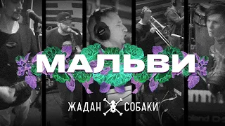 Жадан і Собаки Мальви Офіційне відео 