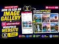 How to add an image gallery in elementor wordpress website