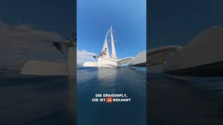 Wir schauen uns eine Dragonfly 32 an!⛵️