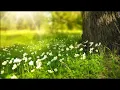 Pollen count reaches season high in Atlanta