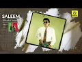 Download Lagu Dibadai Asmara - Saleem [Official MV]