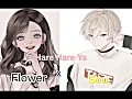 Hare Hare Ya | Flower Ft Sou | Terjemahan Indonesia