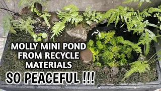DIY Molly Mini Pond from Recycled Materials So Peaceful