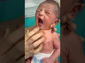 Download Lagu Angry bird in the world #adorably #newbornbaby #adoreble #baby #cute