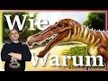 ARK Taming Guide Baryonyx zahmen seine Fahigkeiten mit Humor