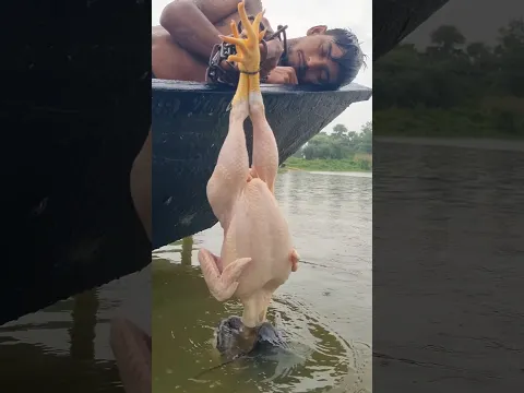 Boat fishing with whole chicken trap by hand #fishing #shorts #viralshort #chicken_fishing #trap