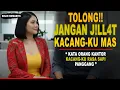 Lagu KISAH NYATA 💞JANDA KAYA DIPAKSA LAYANI KEMAUAN SELURUH KANTOR | SEMOGA SEMUANYA BETAH
