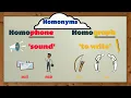 Homonyms Homophones Homographs EasyTeaching