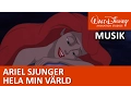 Download Lagu Lilla Sjöjungfrun sjunger: Hela min värld - Disneyklassiker Sverige