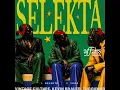 Vintage Culture, Kevin Brauer, Tuggawar - Selekta (Extended Mix)