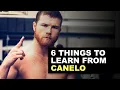 6 Things to Learn from Canelo s Boxing Style
