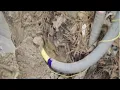 Trust Index Is gas line protection pitched from Centerpoint necessary