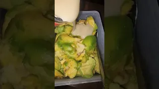 Avocado Yum Yummy With Condensed Milk 