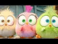 Download Lagu The Angry Birds Movie 2 | All The Best Baby Birds Scenes From The Movie