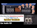 Download Lagu Your MONOBLOCK Amplifier has TWO SETS of Speaker Terminals - WHY???