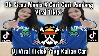 dj kicau kicau kicau mania x disaholic x curi curi pandang slow viral tiktok full song 2026 