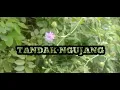 Download Lagu Tandak Ngujang Sasak Lawas Album Pelita Harapan@Tumpakchannel
