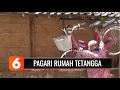 Download Lagu Berseteru karena Kotoran Ayam, Keluarga Ini Pagari Rumah Tetangga